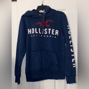 Hollister Hoodie size adult small